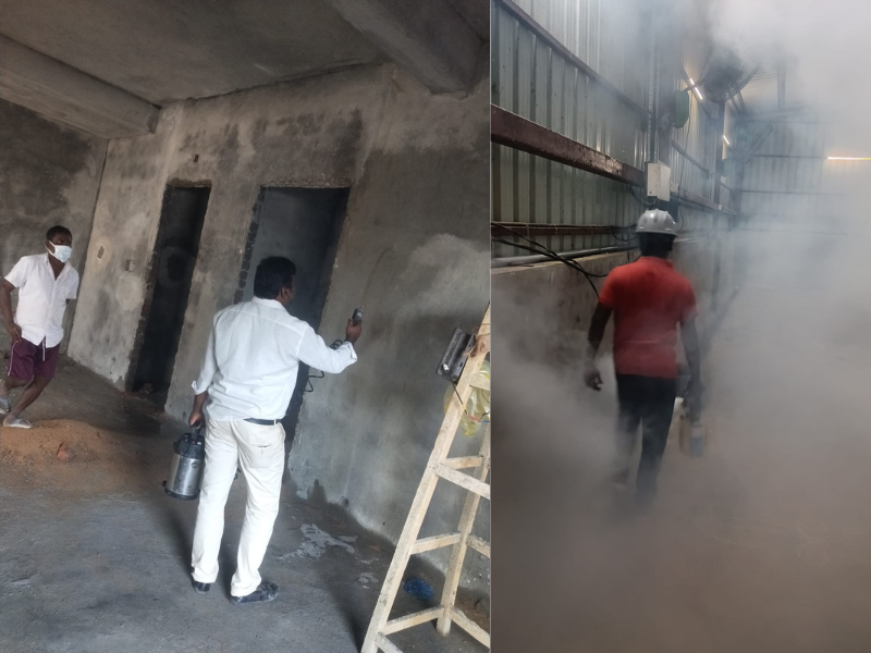 Pest Control Gallery 5